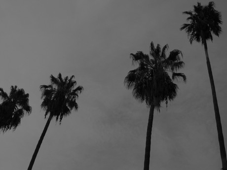 460>_2132160
